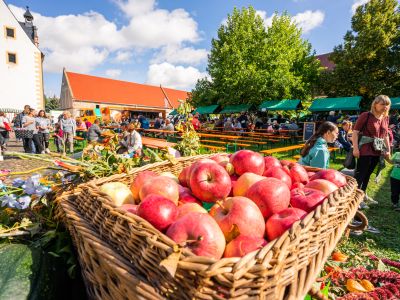 Bauernmarkt im Kloster Buch