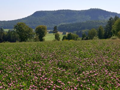 Tafelberg Kleiner Zschirnstein