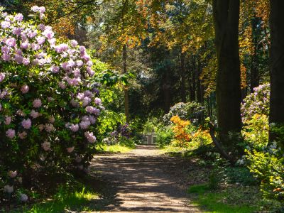 Volkspark Kamenz