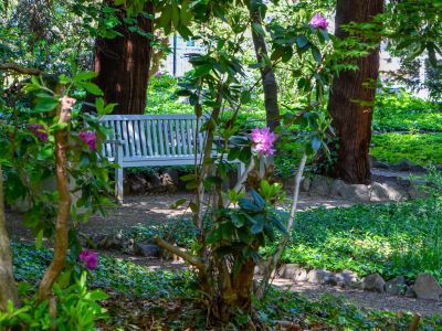 Wilhelm-Weiße-Garten Kamenz