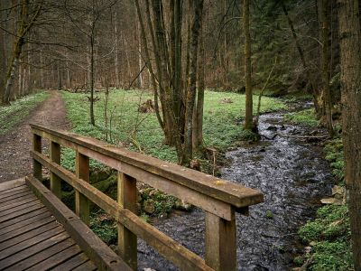 Schwarzbachtal