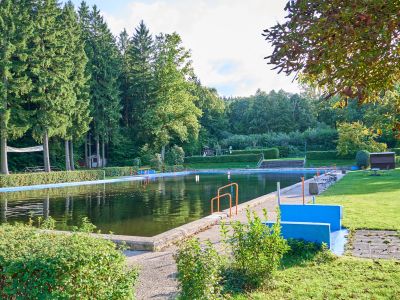 Waldbad Polenz