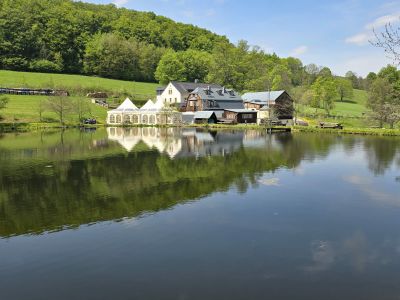 Mühle Bienhof (Bad Gottleuba-Berggießhübel)