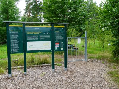 Arboretum "Bäume des Jahres"