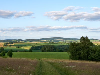 Napoleonschanze-Aussicht