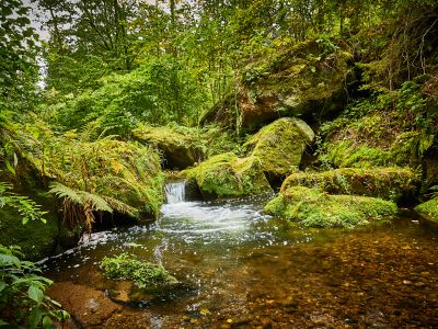 Strudellöcher am Forellensteig