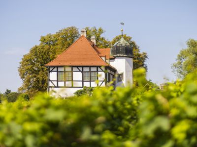 Weinbaumuseum Hoflößnitz