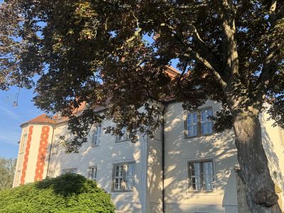 Kunstausstellung im Schloss Struppen - "Brandung & Innehalten"
